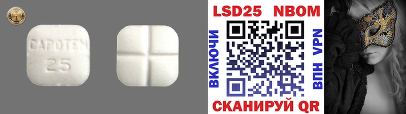 где продают наркотики Биробиджан MEGA онион Лсд 25 экстази ecstasy