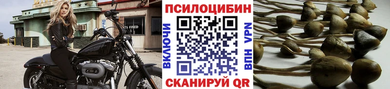 Галлюциногенные грибы Magic Shrooms  Биробиджан 